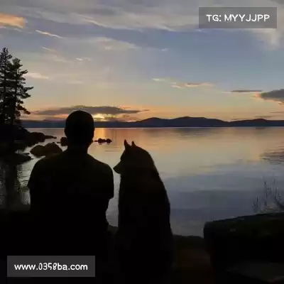 石芯笛